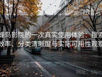 蜂鸟影院的一次真实使用体验：搜索效率、分类清晰度与实际可用性观察