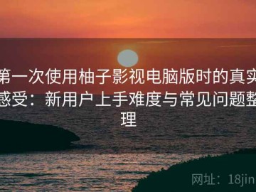 第一次使用柚子影视电脑版时的真实感受：新用户上手难度与常见问题整理