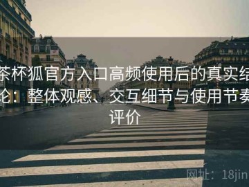 茶杯狐官方入口高频使用后的真实结论：整体观感、交互细节与使用节奏评价