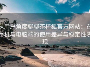 从用户角度聊聊茶杯狐官方网站：在手机与电脑端的使用差异与稳定性表现
