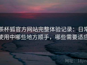 茶杯狐官方网站完整体验记录：日常使用中哪些地方顺手，哪些需要适应