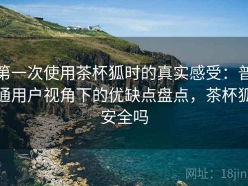 第一次使用茶杯狐时的真实感受：普通用户视角下的优缺点盘点，茶杯狐安全吗