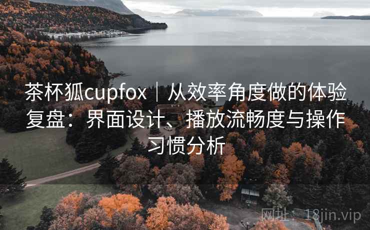 茶杯狐cupfox｜从效率角度做的体验复盘：界面设计、播放流畅度与操作习惯分析