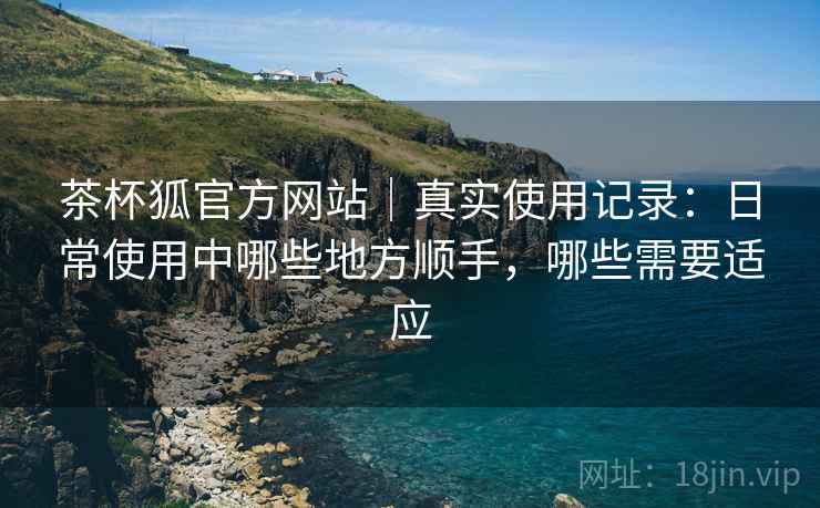 茶杯狐官方网站｜真实使用记录：日常使用中哪些地方顺手，哪些需要适应