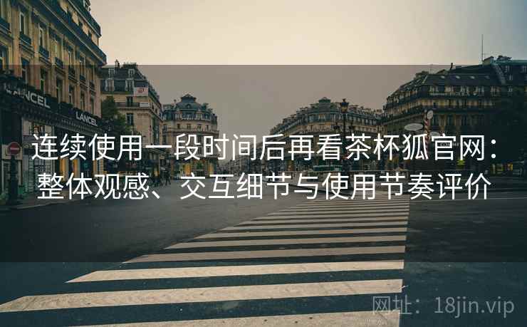 连续使用一段时间后再看茶杯狐官网：整体观感、交互细节与使用节奏评价