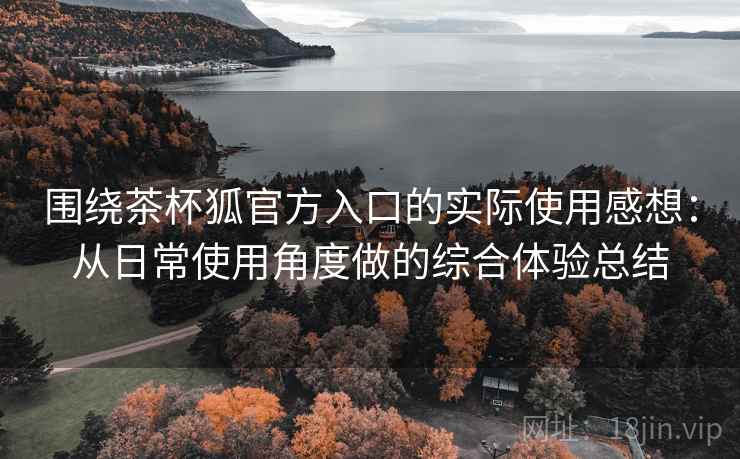 围绕茶杯狐官方入口的实际使用感想：从日常使用角度做的综合体验总结