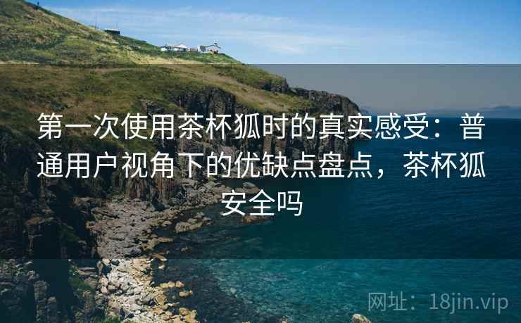 第一次使用茶杯狐时的真实感受：普通用户视角下的优缺点盘点，茶杯狐安全吗
