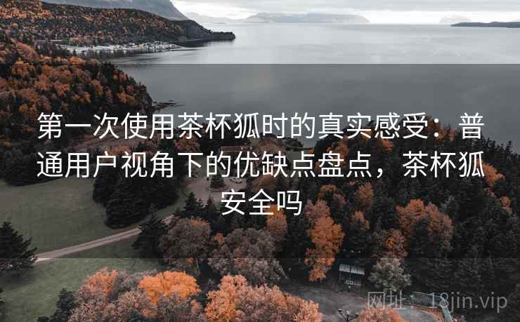 第一次使用茶杯狐时的真实感受：普通用户视角下的优缺点盘点，茶杯狐安全吗